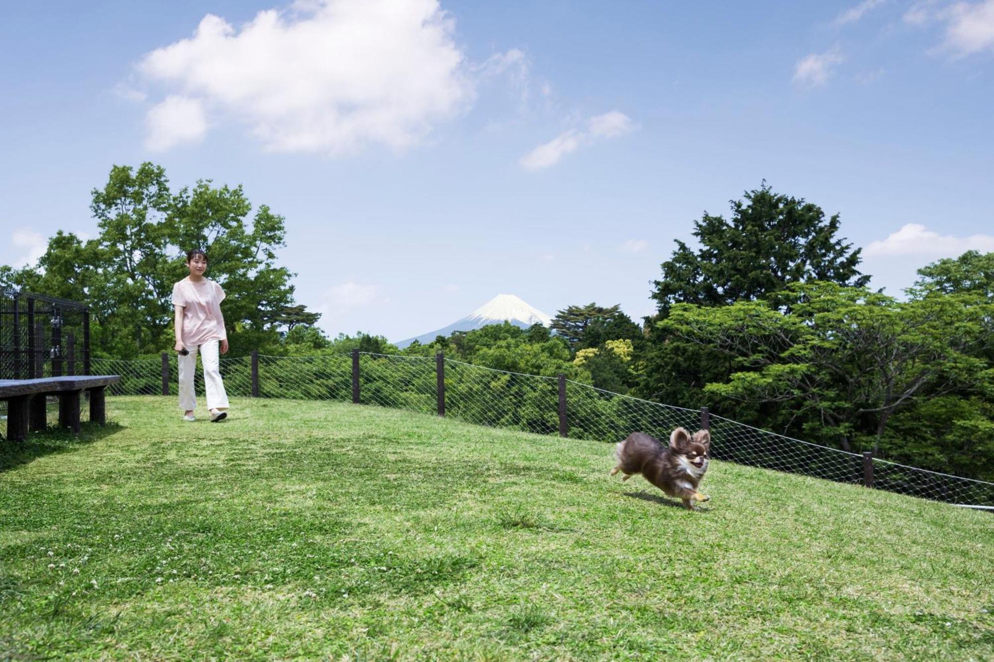 Izu Marriott Hotel Shuzenji Exterior photo